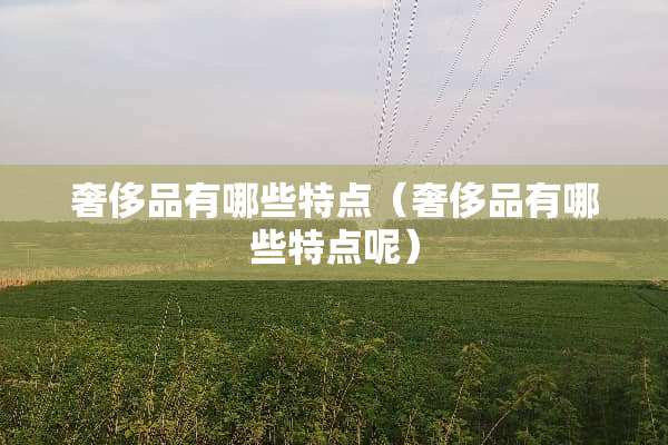 奢侈品有哪些特点（奢侈品有哪些特点呢）