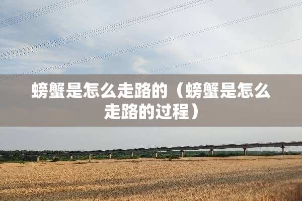 螃蟹是怎么走路的（螃蟹是怎么走路的过程）