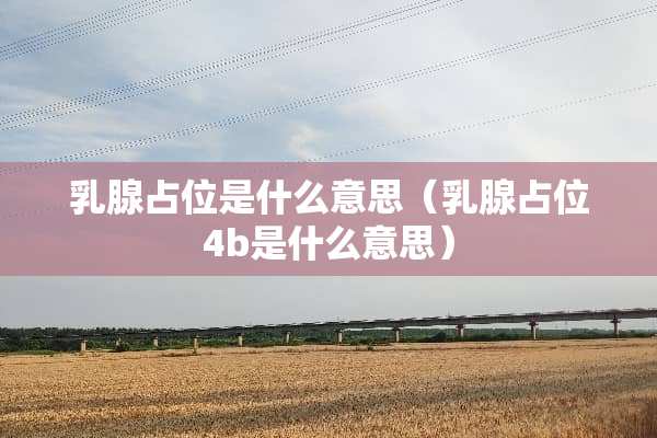 *腺占位是什么意思（*腺占位4b是什么意思）