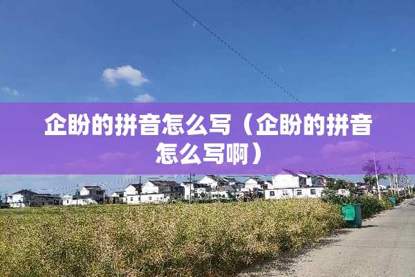 企盼的拼音怎么写（企盼的拼音怎么写啊）