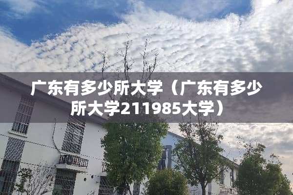 广东有多少所大学（广东有多少所大学211985大学）