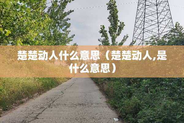 楚楚动人什么意思（楚楚动人,是什么意思）