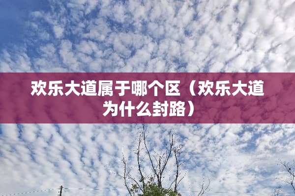 欢乐大道属于哪个区（欢乐大道为什么封路）