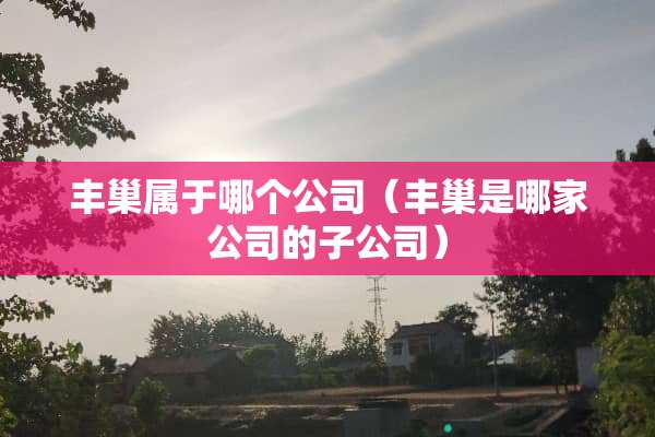 丰巢属于哪个公司（丰巢是哪家公司的子公司）