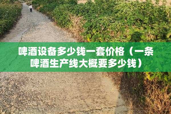 啤酒设备多少钱一套价格（一条啤酒生产线大概要多少钱）