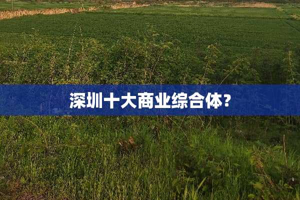 深圳十大商业综合体？