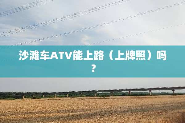 沙滩车ATV能上路（上牌照）吗？