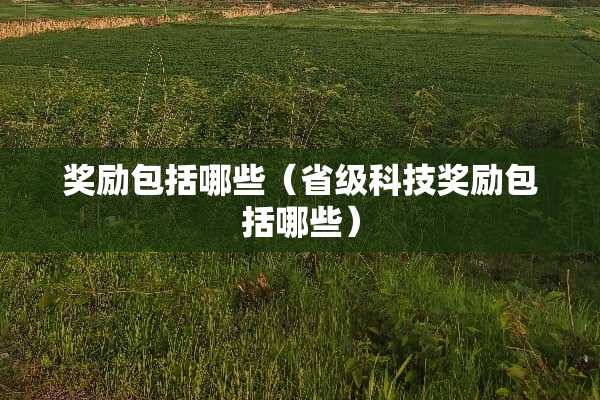 奖励包括哪些（省级科技奖励包括哪些）
