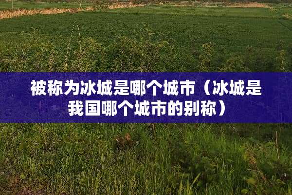 被称为冰城是哪个城市（冰城是我国哪个城市的别称）