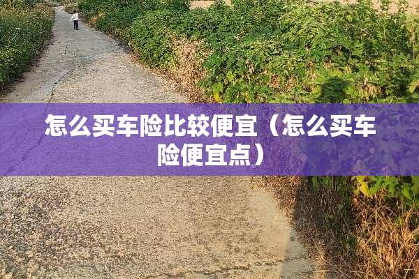 怎么买车险比较便宜（怎么买车险便宜点）