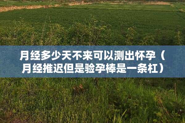 月经多少天不来可以测出怀孕（月经推迟但是验孕棒是一条杠）