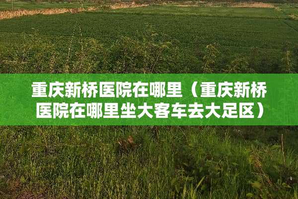 重庆新桥医院在哪里（重庆新桥医院在哪里坐大客车去大足区）