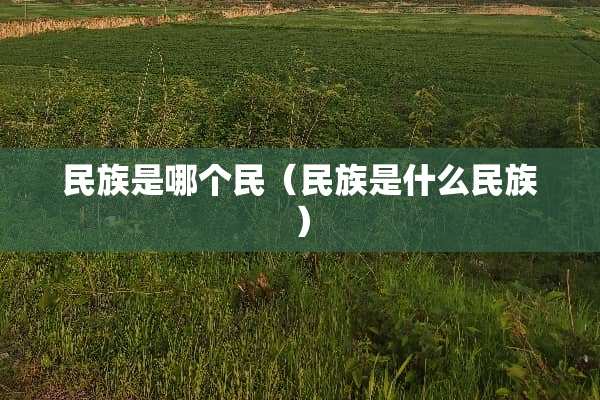 民族是哪个民（民族是什么民族）