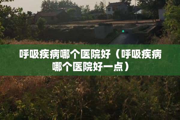 呼吸疾病哪个医院好（呼吸疾病哪个医院好一点）