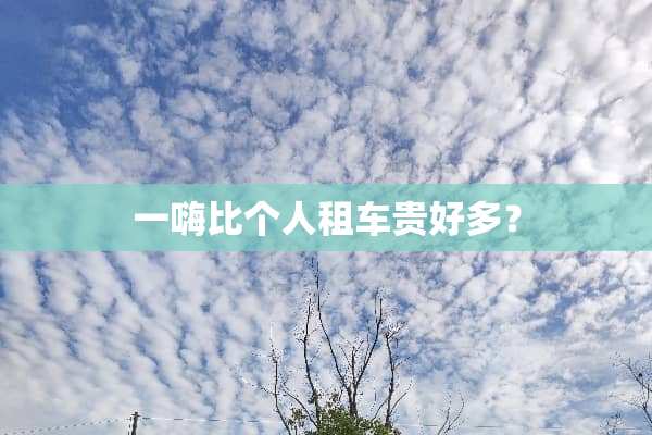 一嗨比个人租车贵好多？