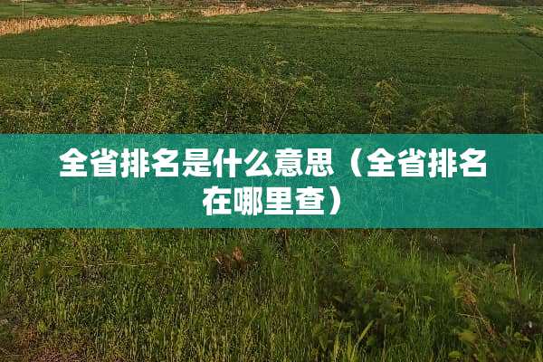 全省排名是什么意思（全省排名在哪里查）