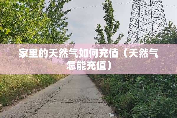 家里的天然气如何充值（天然气怎能充值）