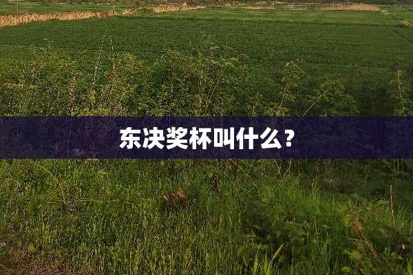 东决奖杯叫什么？