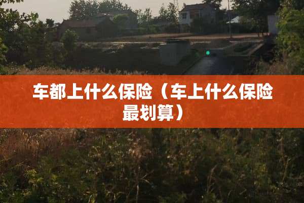 车都上什么保险（车上什么保险最划算）