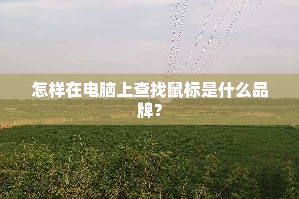 怎样在电脑上查找鼠标是什么品牌？