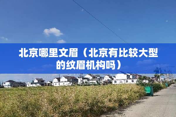 北京哪里文眉（北京有比较大型的纹眉机构吗）