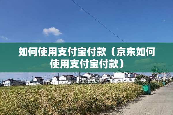 如何使用支付宝付款（京东如何使用支付宝付款）