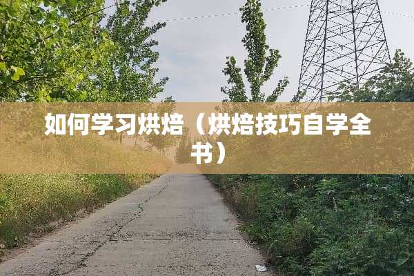 如何学习烘焙（烘焙技巧自学全书）