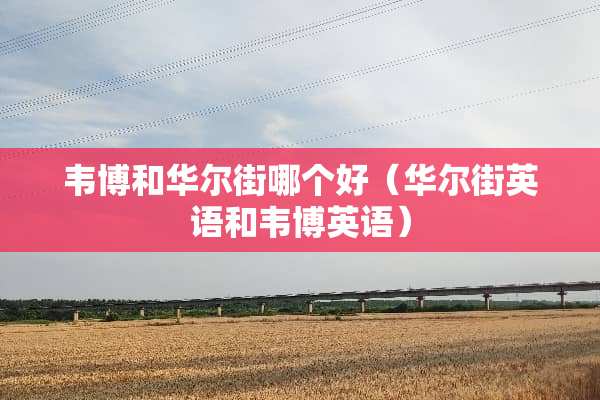 韦博和华尔街哪个好（华尔街英语和韦博英语）