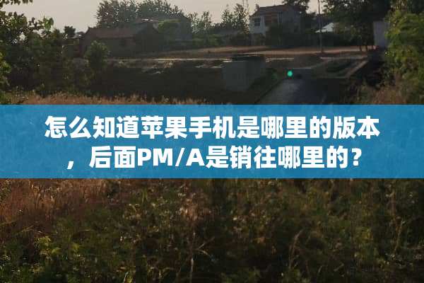 怎么知道苹果手机是哪里的版本，后面PM/A是销往哪里的？