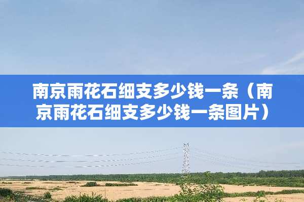 南京雨花石细支多少钱一条（南京雨花石细支多少钱一条图片）