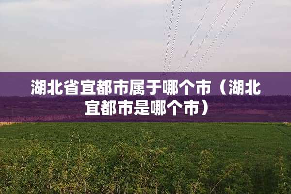 湖北省宜都市属于哪个市（湖北宜都市是哪个市）