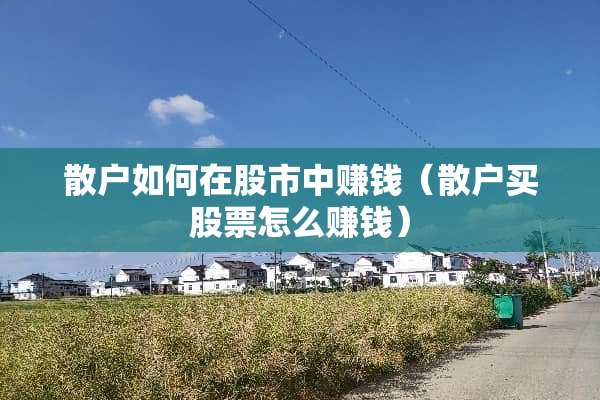 散户如何在股市中赚钱（散户买股票怎么赚钱）