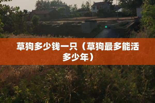 草狗多少钱一只（草狗最多能活多少年）