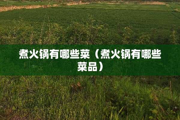 煮火锅有哪些菜（煮火锅有哪些菜品）