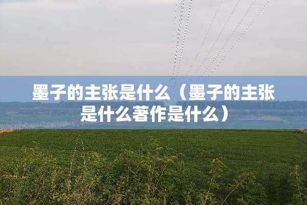 墨子的主张是什么（墨子的主张是什么著作是什么）