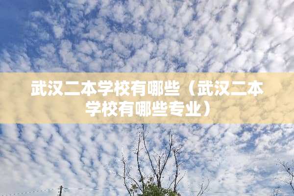 武汉二本学校有哪些（武汉二本学校有哪些专业）