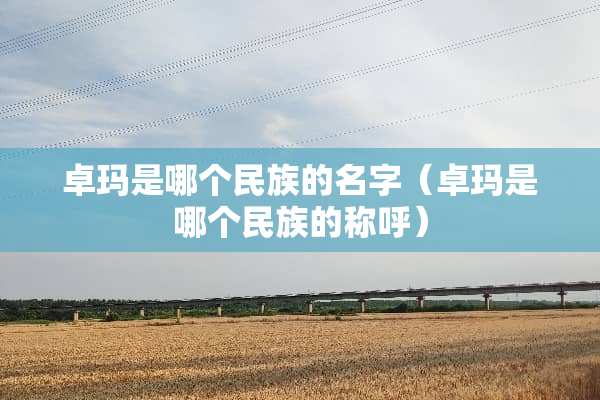 卓玛是哪个民族的名字（卓玛是哪个民族的称呼）