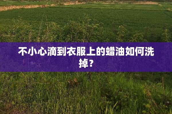 不小心滴到衣服上的蜡油如何洗掉？