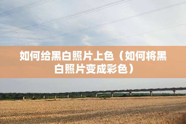 如何给黑白照片上色（如何将黑白照片变成彩色）