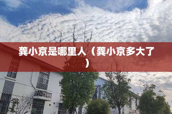 龚小京是哪里人（龚小京多大了）
