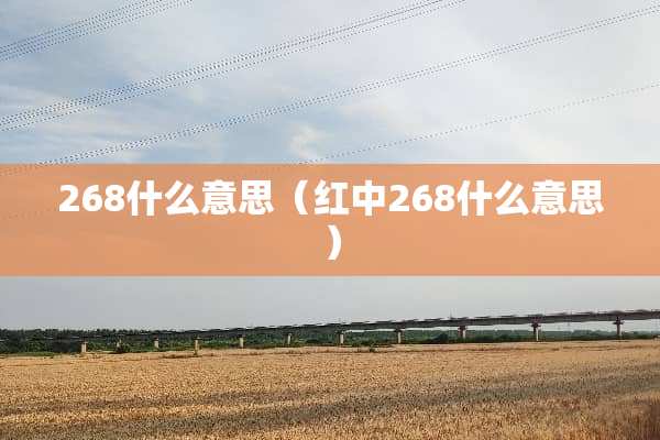 268什么意思（红中268什么意思）