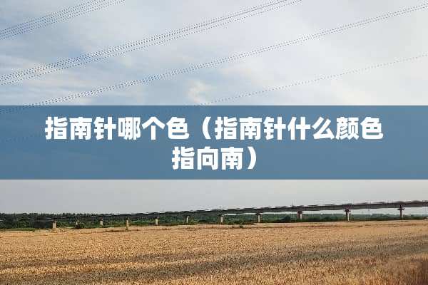 指南针哪个色（指南针什么颜色指向南）