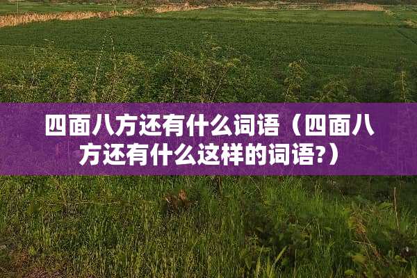 四面八方还有什么词语（四面八方还有什么这样的词语?）