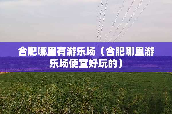 合肥哪里有游乐场（合肥哪里游乐场便宜好玩的）