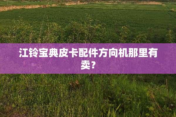 江铃宝典皮卡配件方向机那里有卖？