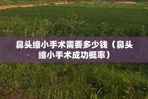 鼻头缩小手术需要多少钱（鼻头缩小手术成功概率）
