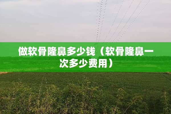 做软骨隆鼻多少钱（软骨隆鼻一次多少费用）