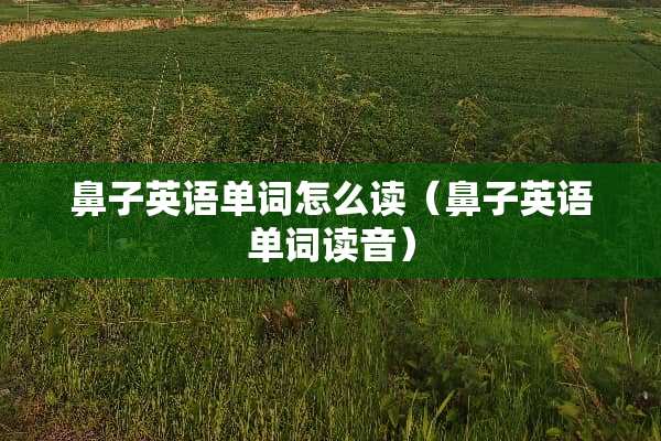 鼻子英语单词怎么读（鼻子英语单词读音）