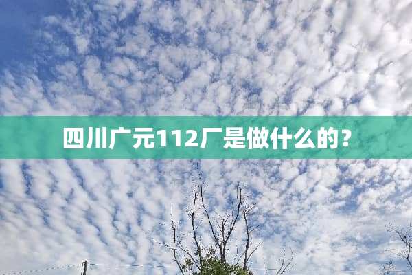 四川广元112厂是做什么的？