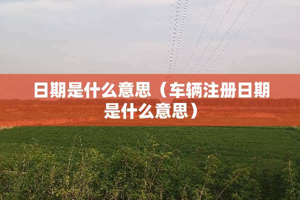 日期是什么意思（车辆注册日期是什么意思）